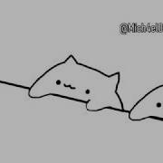 Bongo Cat Mr Sandman