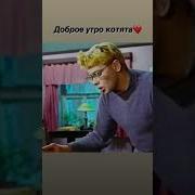 Доброе Утро Котятки Зубарев