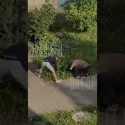 Наркоманы Делают Закладки