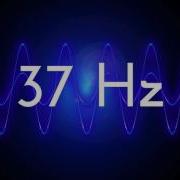 37 Hz