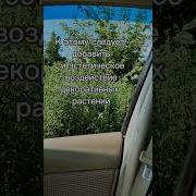 Это Рай Я Тебе Говорю