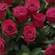 Жашоодон Алынган Ырлар