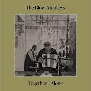 The Blow Monkeys Cкачать Бесплатно Песни С Альбома 2024Г Together Alone