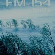 Метель Fm154