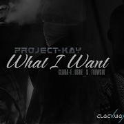 Flowsik What I Want Feat Flowsik Ushe S Clara T