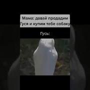 Очень Крутой Мем Про Гуся