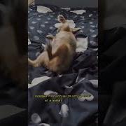 Покажи Того Кто Живет Лучше Всех