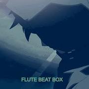 Altaj Flute Recorder Beatbox