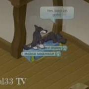 Animal Jam Sex