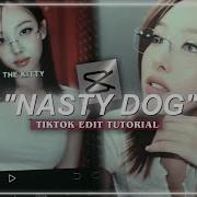 Edit Dog Tiktok Video