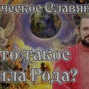 Мощная Медитация Древо Рода Авт Синельников