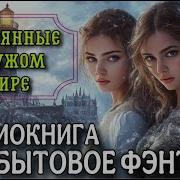 Аудиокнига О Попаданках
