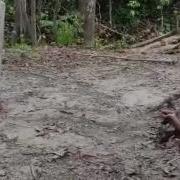 Сейчас Ты Увидишь Лучшее В Мире Привидение С Мотором
