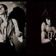 Perry Farrell Woman In The Window Feat Jim Morrison