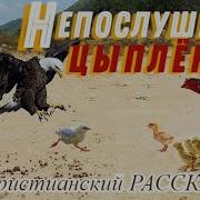 Друзья Христианский Рассказ Для Детей Мсц Ехб Слушать Онлайн