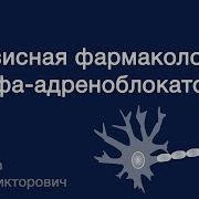 Базисная Фармакология Альфа Адреноблокаторов