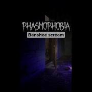 Banshee Scream