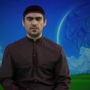 Сура Мульк В Махачкалей