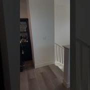 Nigga Wtf