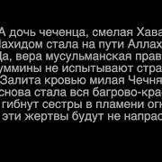 Тимур Мацураев Хава Бараева Текст