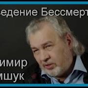 Поведение Бессмертных Владимир Шемшук