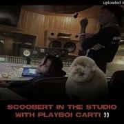 Ysl Cheetah Instrumental