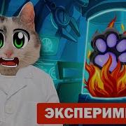 15 Опытов С Таба Лапками