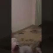 Боз Як Келини Дигаро Бо Марди Бегона Капидан Чи Бе Номуси Шудай