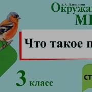 Страницы 66 68 Окружающий Мир 3 Класс Часть1 Плешаков