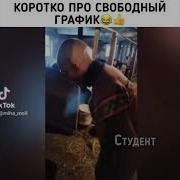 Мем Я Девушка Свободная