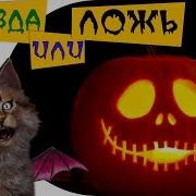 Самые Страшные Звуки Животных Тесты Для Детей 6 Правда Или Ложь На Хеллоуин Познаватель Кот Семен