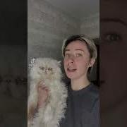 Это Леша Мяяяяяя Мы Выучили Новую Комнду