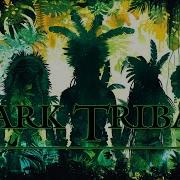 Dark Tribal Music