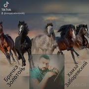 Еду Мэ Бричка Залатой