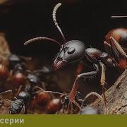 Скрытое Королевство