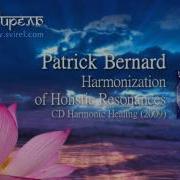 Patrick Bernard Harmonic Healing