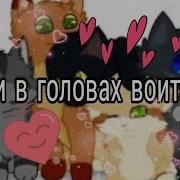 Песни В Головах Котов Воителей Warriors Cats Грозовое Племя