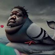 Трипи Тропа Тропа Трипо
