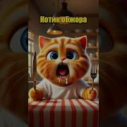 Ну Котята Выходите Я Вас Научу