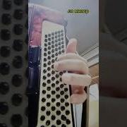 Акардион Басс