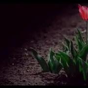 Ше Хьоме Мар Йижаршан Леран