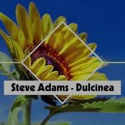 Steve Adams Dulcinea No Copyright Music