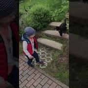 Спроси Как У Кошечки Дела Она Сказала За Бись