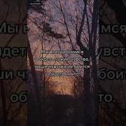 Фразы С Тик Тока