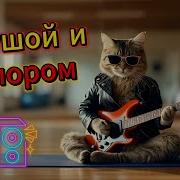 Пошел На Йогу Там И Уснул Танцевальные Песни С Юмором Русская