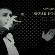 Sevak Poghosyan Te Gnas