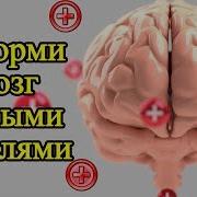 28 Мудрых Мыслей Для Мотивации На Успех Красивые И Умные Мысли О Жизни И Как Стать Счастливым