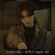 Dont Let Me Love You Stray Kids Speed Up