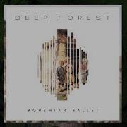 Deep Forest Bohemia