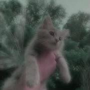 Наш Корабль Идет Ко Дну Speed Up